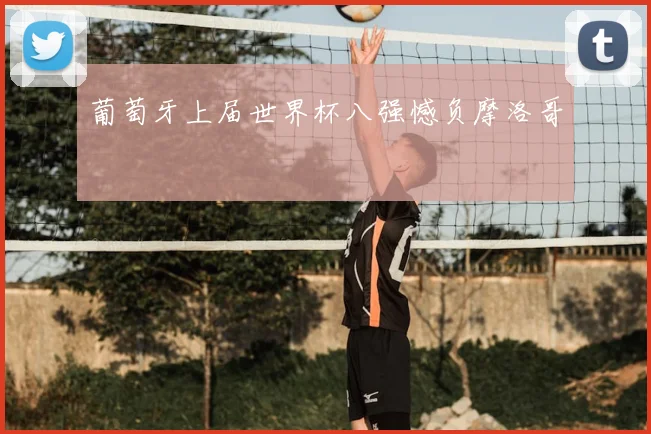 葡萄牙上届世界杯八强憾负摩洛哥