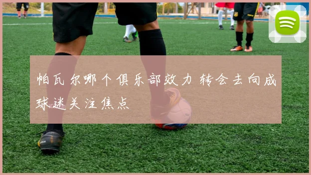 帕瓦尔哪个俱乐部效力 转会去向成球迷关注焦点