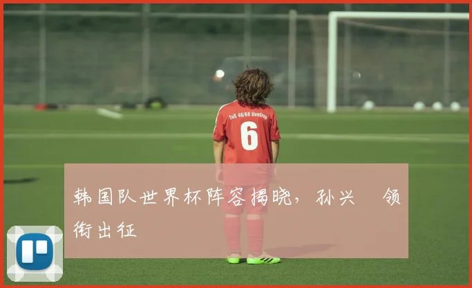 韩国队世界杯阵容揭晓，孙兴慜领衔出征